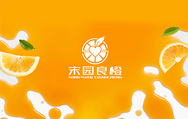 某良橙——宁德LOGO设计
